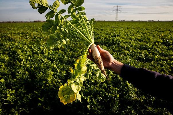 Tomasu | Sweet Soy Sauce 100ml