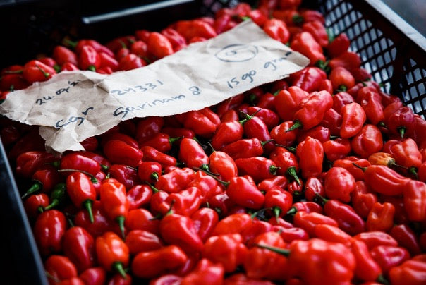 Tomasu | Sweet Spicy Soy Sauce 100ml