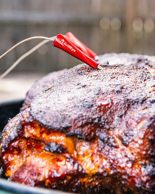 GrillEye Probe Meat & Ambient | 1 wired probe