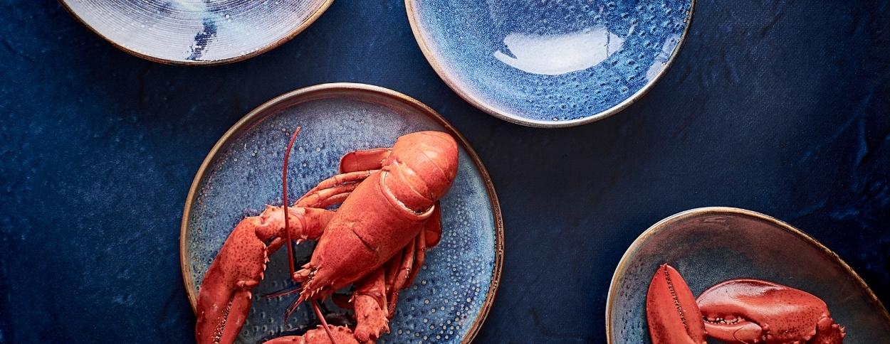 Fine2Dine | Blue Nova Schaal 18cm