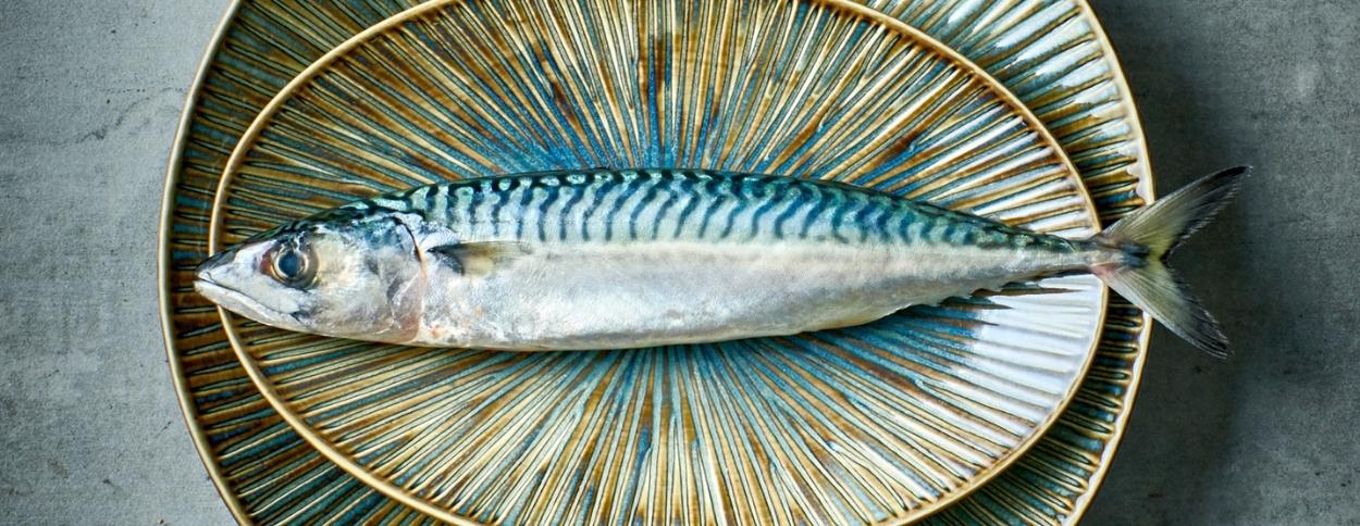 Fine2Dine | Halo Forest Schaal 30cm