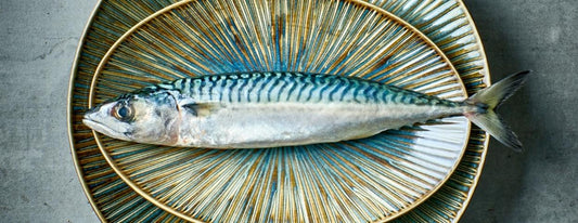 Fine2Dine | Halo Forest Bord Ovaal 25,5x17cm