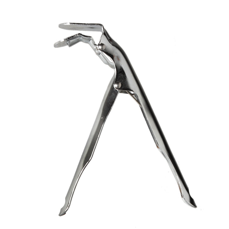 Home Brand Roostertang