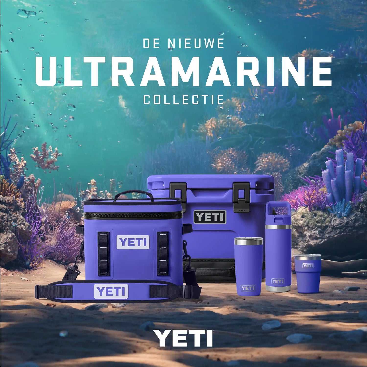 YETI | Ultramarine Violet