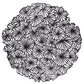 Chilewich Placemat Daisy Rond 39cm | Black