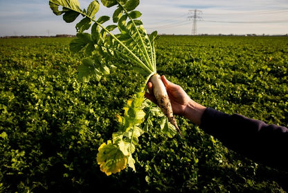 Tomasu | Sweet Soy Sauce 100ml