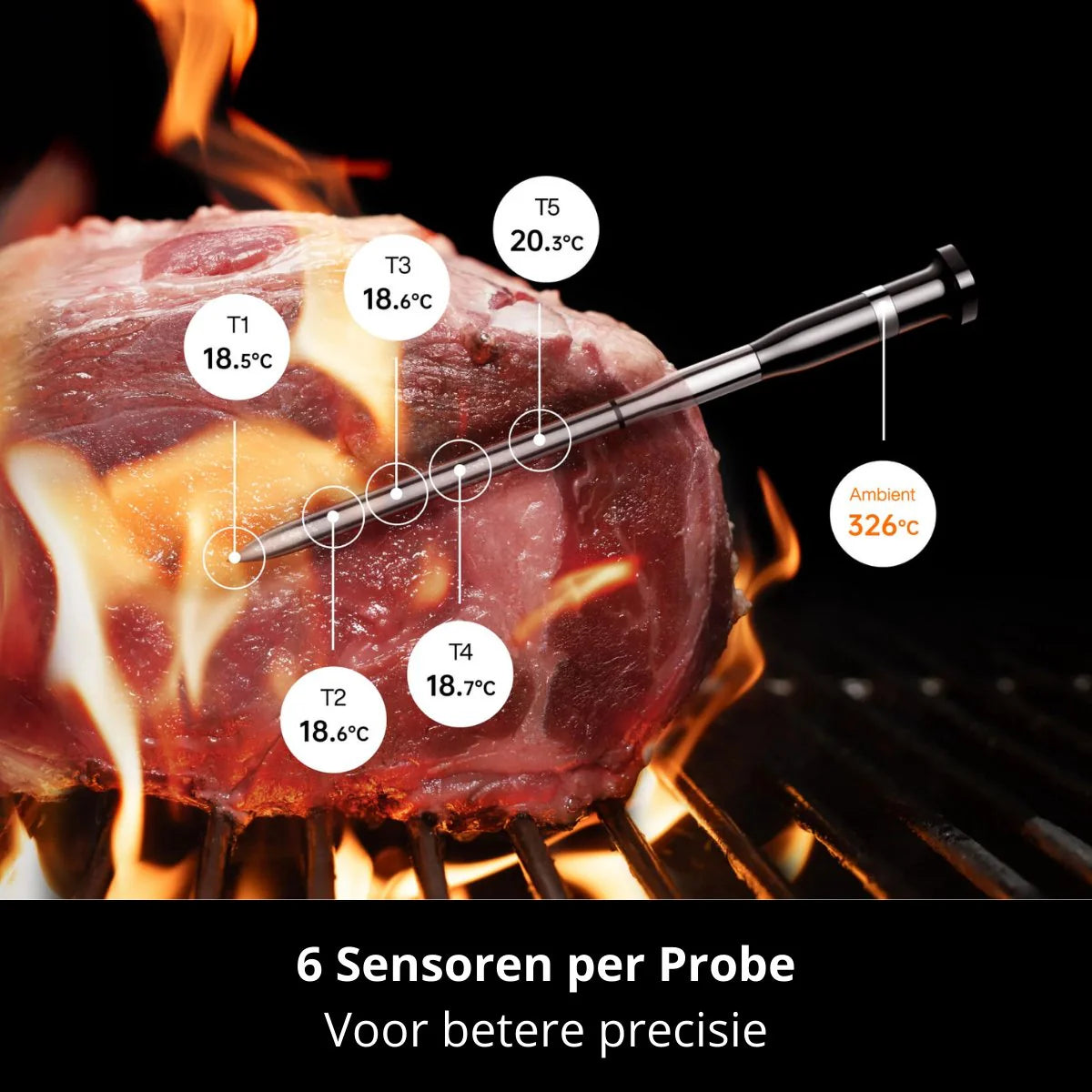 Typhur | Sync One Thermometer | 1 wireless probe